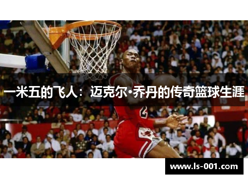 一米五的飞人：迈克尔·乔丹的传奇篮球生涯